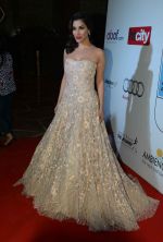 Sophie Chaudhary at Ht Most Stylish Awards in Delhi on 24th May 2016